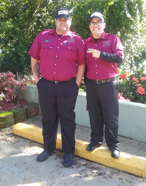 BPS Security Advisors